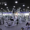 포바디짐 네이버블로그