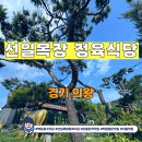 백운호수 맛집 선일목장 정육식당 후기｜의왕 한우 맛집에서 즐긴 특별한 숯불구이