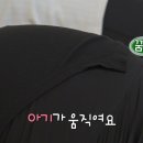 허니크랩 이미지