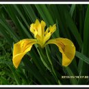 원덕리도 이미지