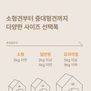 에브리데이 펫 이미지