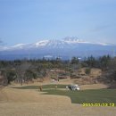 테디벨리 이미지