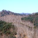 자작나무 펜션2 이미지