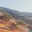 통영장사도펜션 | 통영 2박3일 가족여행