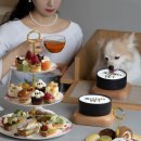 소노펫 스쿨 이미지