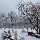 대봉농장 이미지