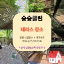 정원약품 | 테라스청소 문의 많은 시즌｜데크 고압세척 및 정원청소 작업