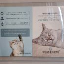 레이크동물의료센터 이미지