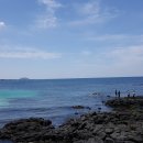 효리네 민박 이미지