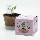 팜팜농장 이미지