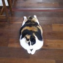 안선생민박 이미지