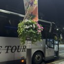218~226-3(이가네칼국수) | 울릉도, 독도 정보성