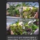 해양조경 이미지