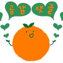 알콩김밥달콩라면 이미지