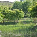 나무고아원 이미지