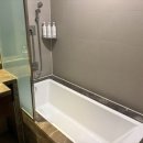 (주)호텔롯데 롯데시티호텔대전 이미지