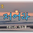 장민호 저어라 이미지