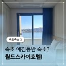 유스카이무인호텔 | 속초애견동반숙소 월드스카이호텔 가족여행 숙소 추천