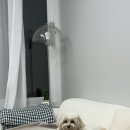 올레 PC방 | 내 식욕이 멈추지 않는 탓일까?ㅜ.ㅜ 11월 일상