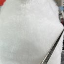 댕댕미용 이미지