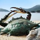 대천항의 초라한 꽃게 조형물 개선필요 이미지