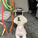 주인아 미용하고가 | 25년 10월 일상