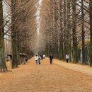 메타길5(어린이프로방스) 이미지