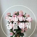 다다웨딩&플라워