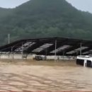 남천제방 이미지