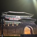 동인동물병원 | 줄기세포 배양액 엑소좀 피부에 받은 후기/SMP STUDIO 수원 (1)