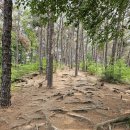 감골도서관 화장실 이미지