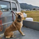 백양공업사 이미지