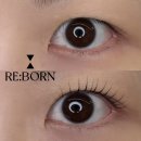 리본 | 남천동 속눈썹펌 맛집 리본리프트(RE:BORN LIFT) 리본펌 후기
