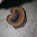 도촌모터스 이미지