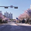 경기도 수원시 영통구 매탄로204 이미지