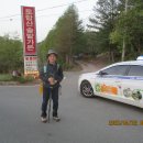 희선목장 Daum카페