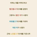 노란물고기