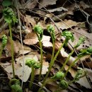 우리행정사 합동사무소 이미지