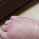 소주 1병 이미지