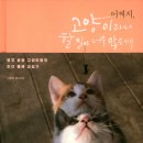 나만고양이없어 이미지