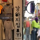 오독스(O-DOX) 이미지