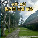 토토헤어 | 필리핀 보홀 아이랑 여행 5일차 | 토토에페피노 점심, 몽키트리 쇼핑, 오셔니카 체크인, BBC 저녁식사...