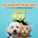라이프스타일케이 주식회사 MTN 머니투데이방송