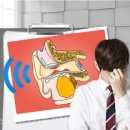 와이덱스보청기의료기상사