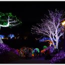 별빛산장 이미지