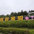 금남 이미지