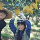 코코농원 이미지