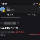 국계 | 나비야두터운니과거의슬픔을뚫고가볍게아주가볍게날아라깊은밤길에나앉은여인의눈물자욱한담배연기를...