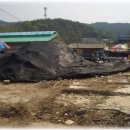 판교시장 이미지