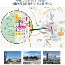노르웨이숲 이미지